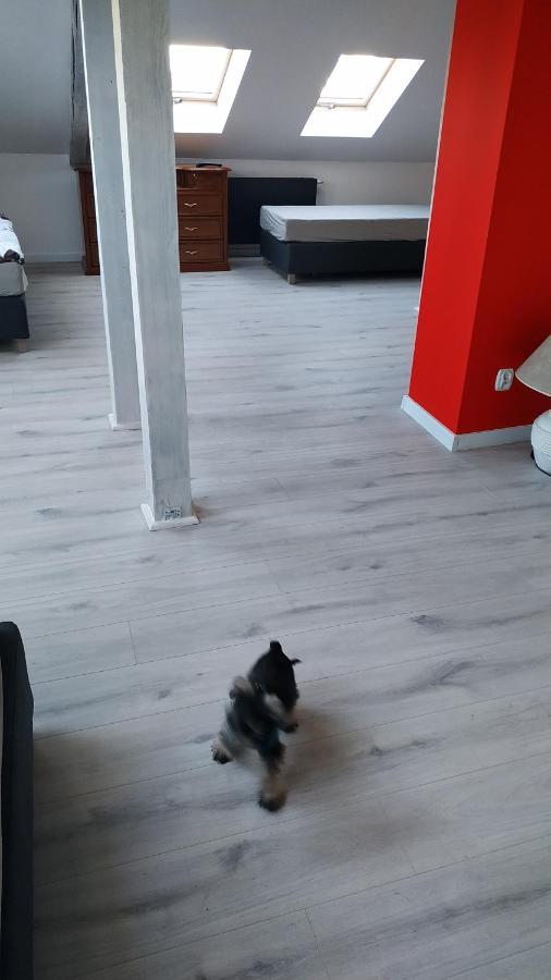 Apartament Witkacego Czerwony Słupsk Kültér fotó